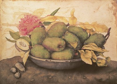 Een kom met peren door Giovanna Garzoni